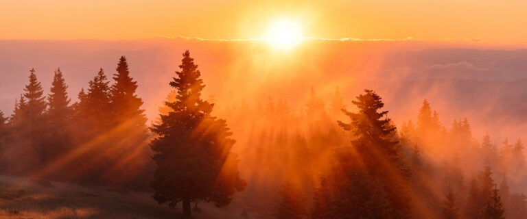 The Resurrection and the Life