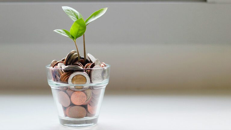 a plant growing out of a small glass jar stuffed with coins