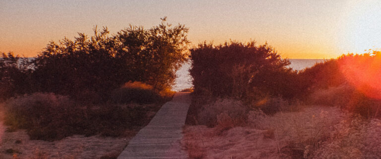 The Spirit Reveals God's Love